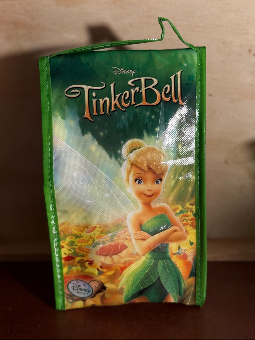 NEW Tinkerbell Disney Fairies Insulated Child's School LUNCH BAG GREEN HANDLE